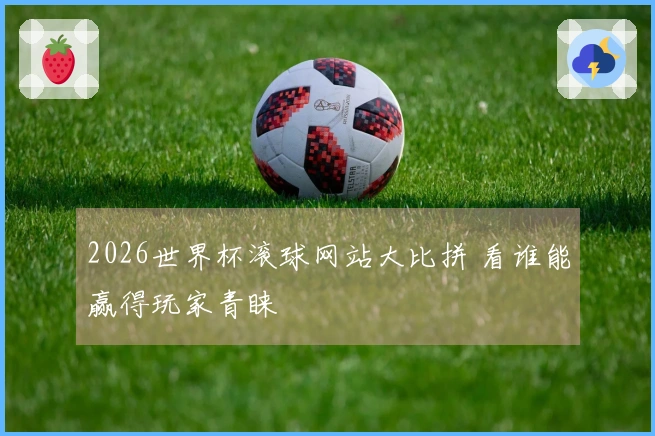2026世界杯滚球网站大比拼 看谁能赢得玩家青睐