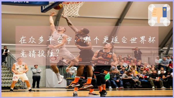 在众多平台中，哪个更适合世界杯竞猜投注？