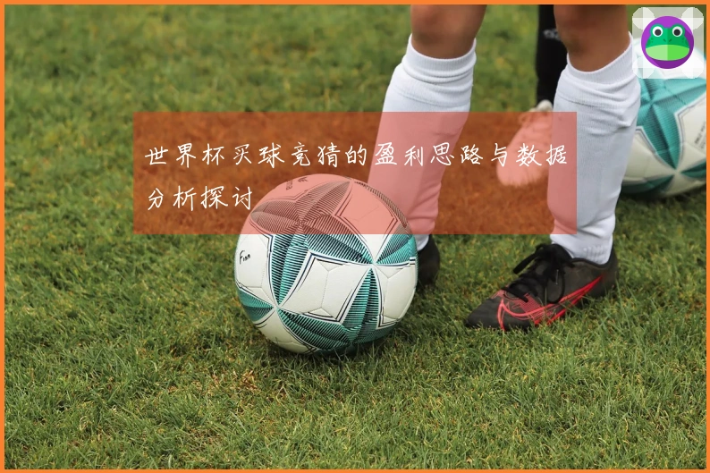 世界杯买球竞猜的盈利思路与数据分析探讨