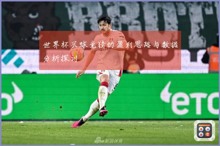 世界杯买球竞猜的盈利思路与数据分析探讨